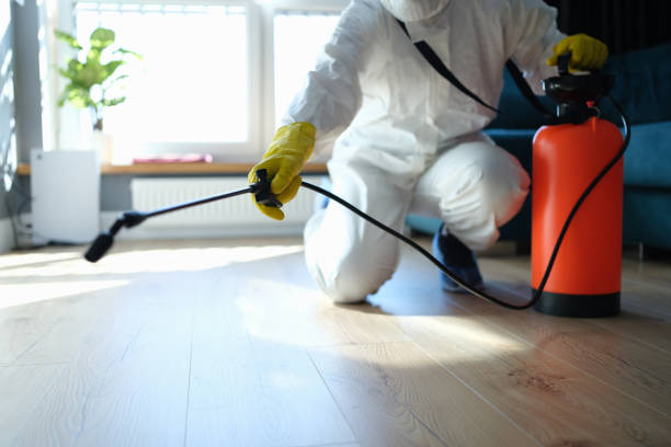 Professional Pest Control in Sun City West, AZ