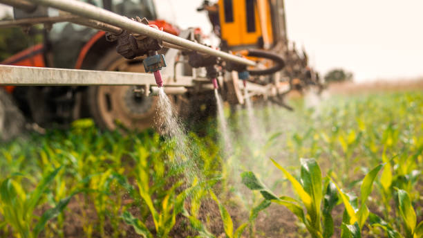 Pest Control Cost in Sun City West, AZ